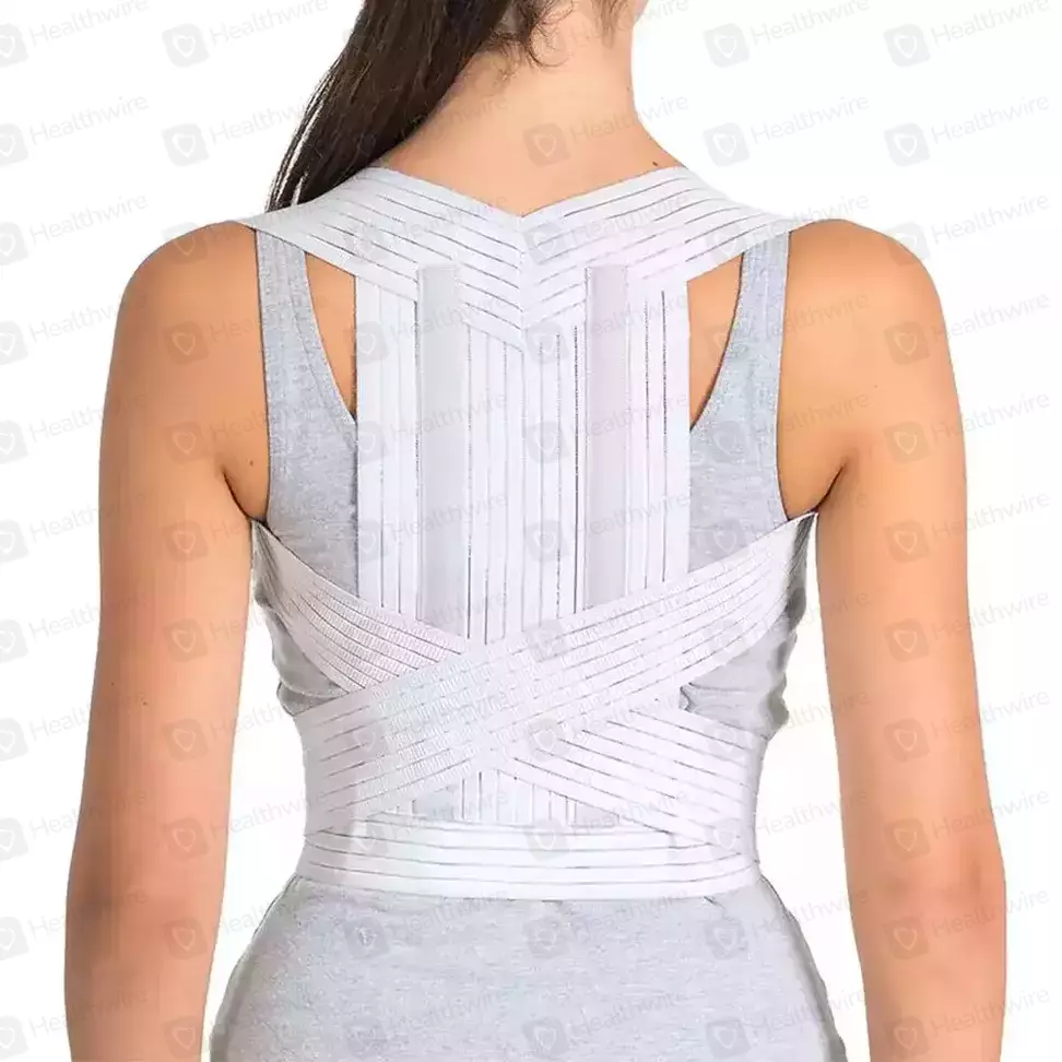 Ortholife Posture (XL) Back Support