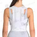 Ortholife Posture (XL) Back Support