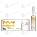 Amkay (250Mg/2Ml) 2Ml 1 Ampoule Injection