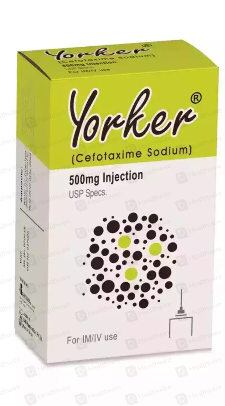 Yorker (500Mg) 1 Injection