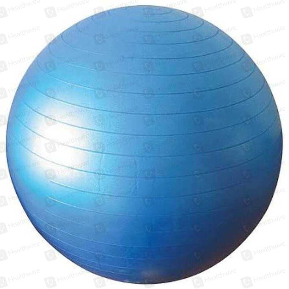 Physio Ball