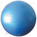 Physio Ball