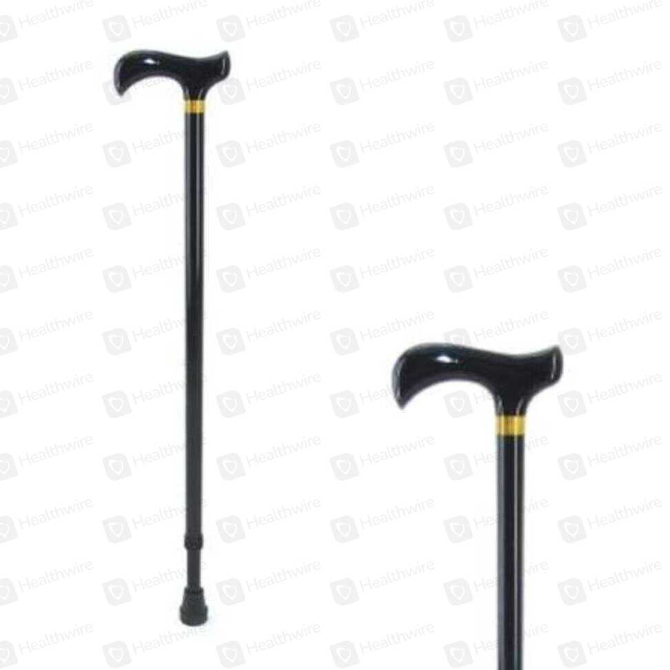 Walking Stick-T Type 1S