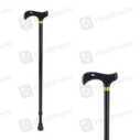 Walking Stick-T Type 1S