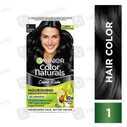 Garnier Hair Color All 1S