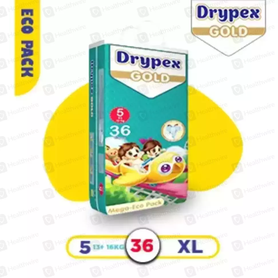 Drypex Gold Large No.4 (40 Pcs) Eco Pack