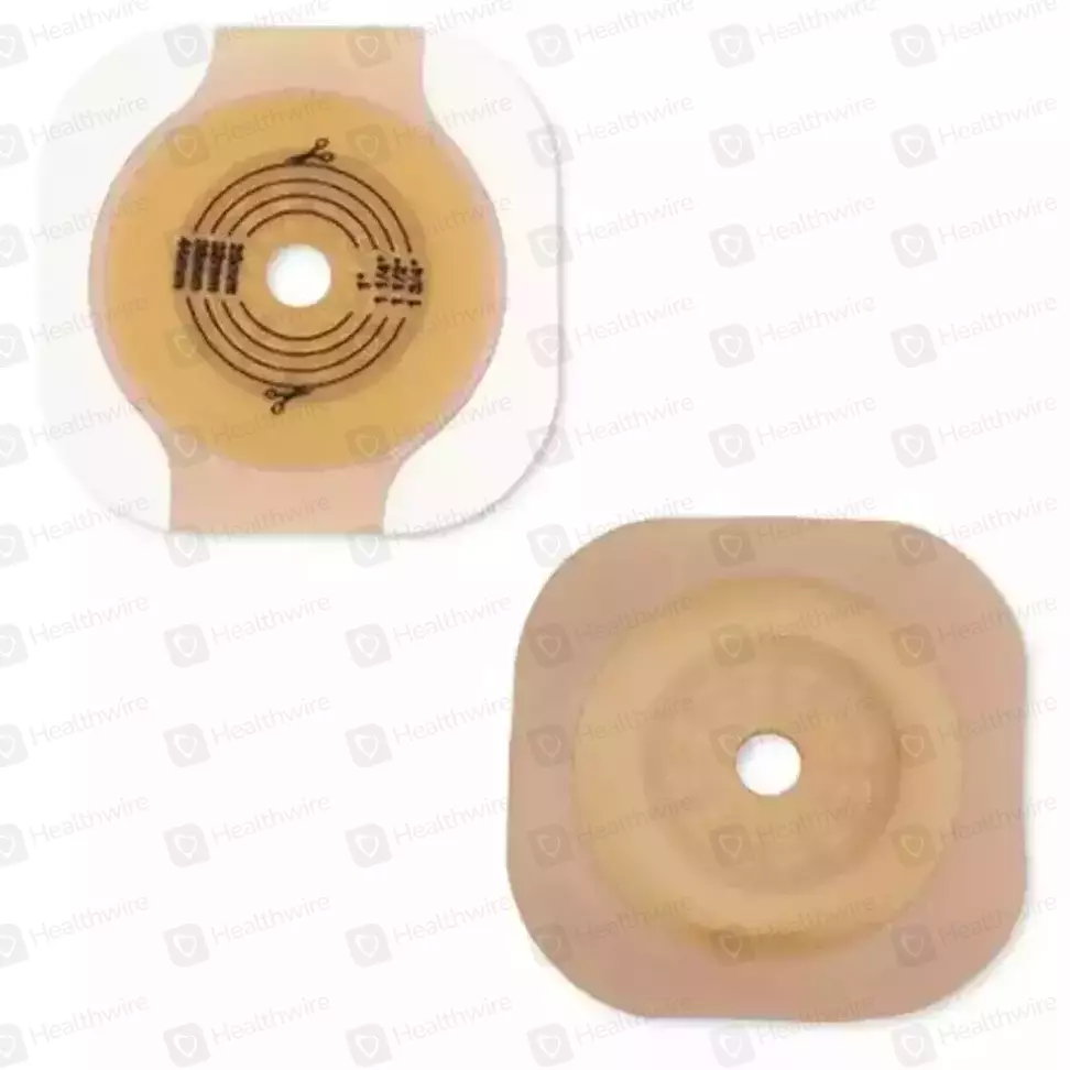 Hollister (70Mm) Wafer 1S